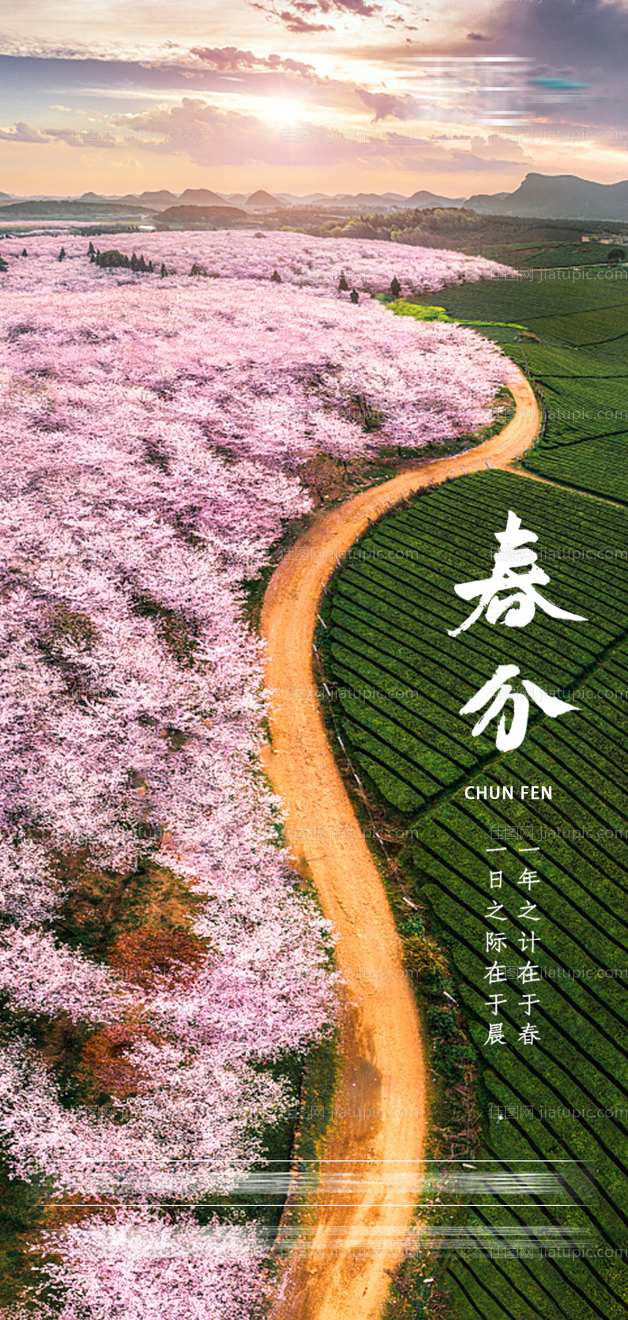 节气宣传稿-源文件
