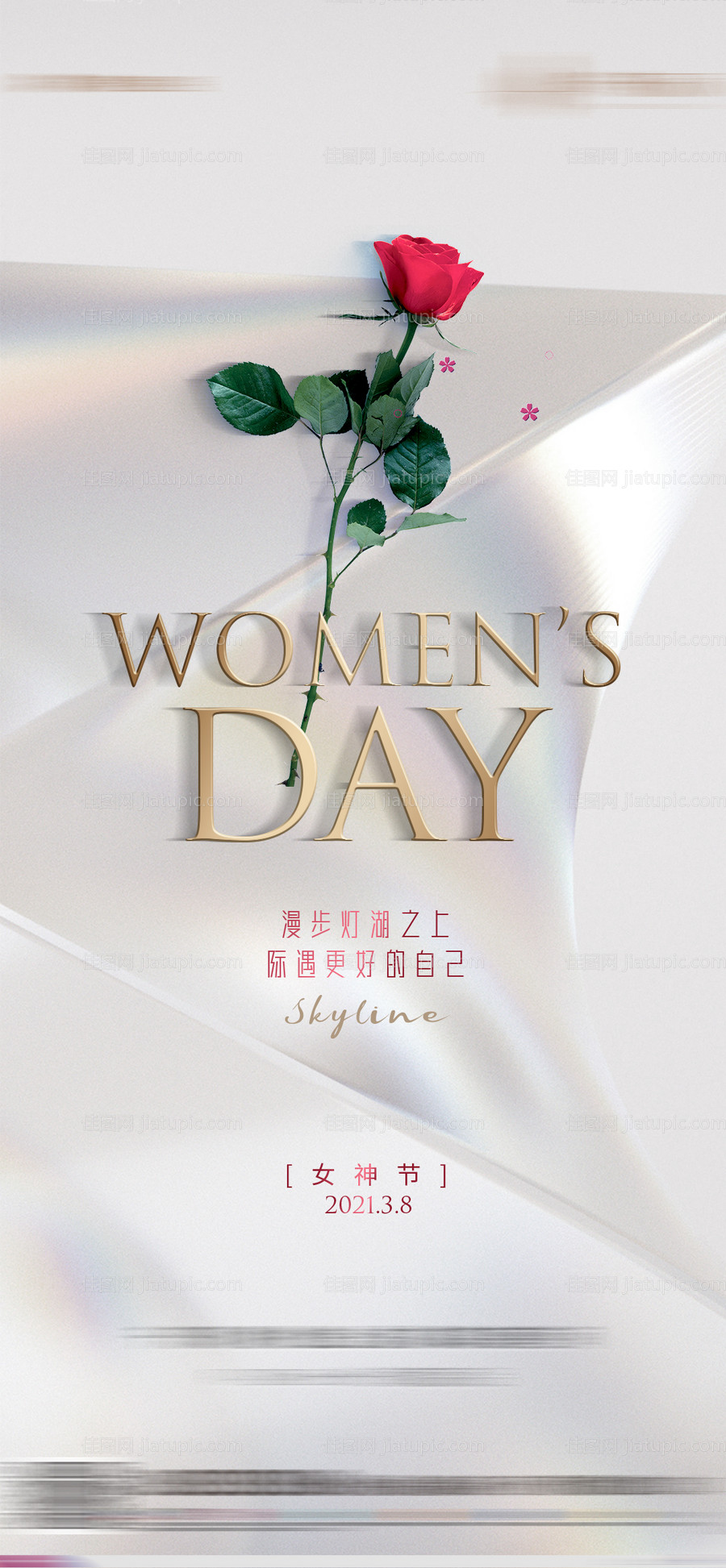 38女神节白色红玫瑰节气微信稿-源文件