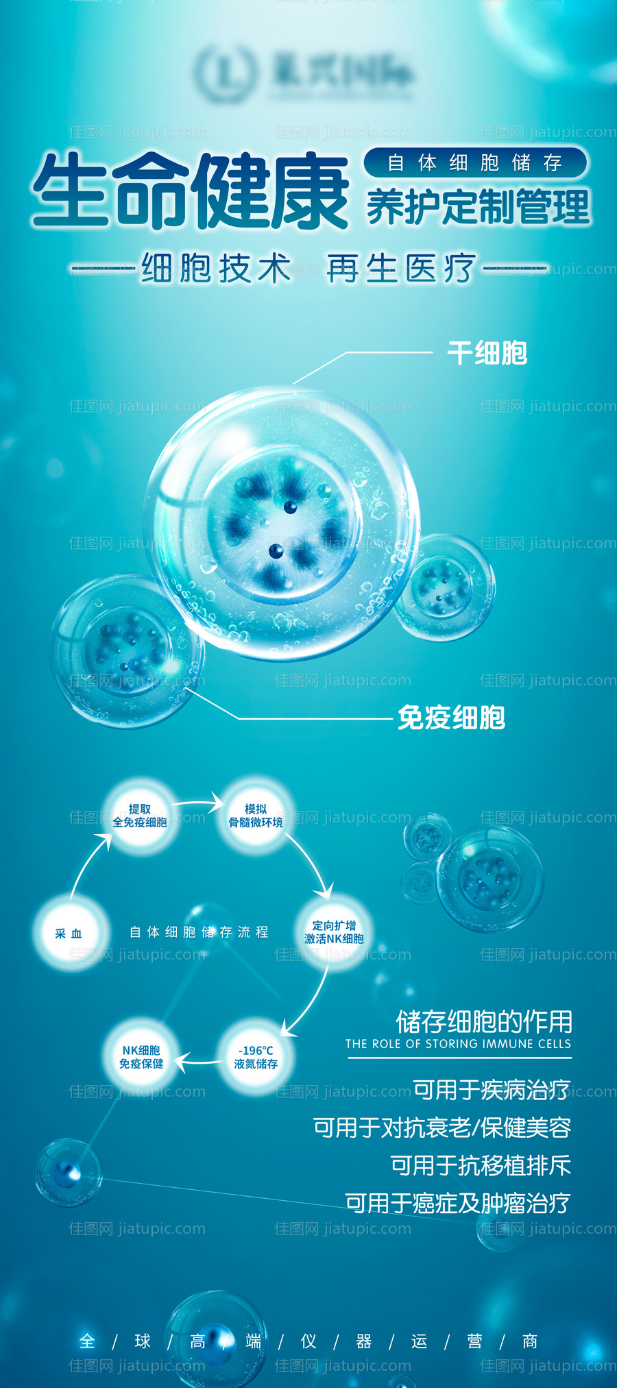 免疫细胞展架-源文件