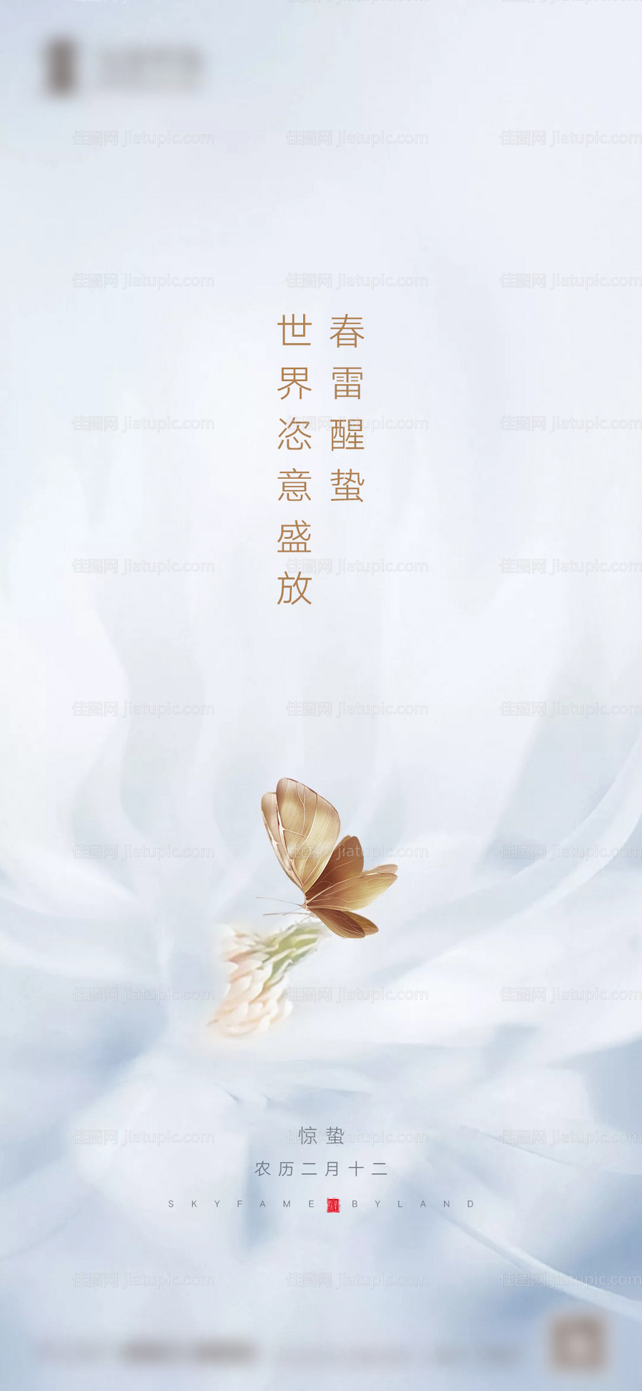 惊蛰-源文件