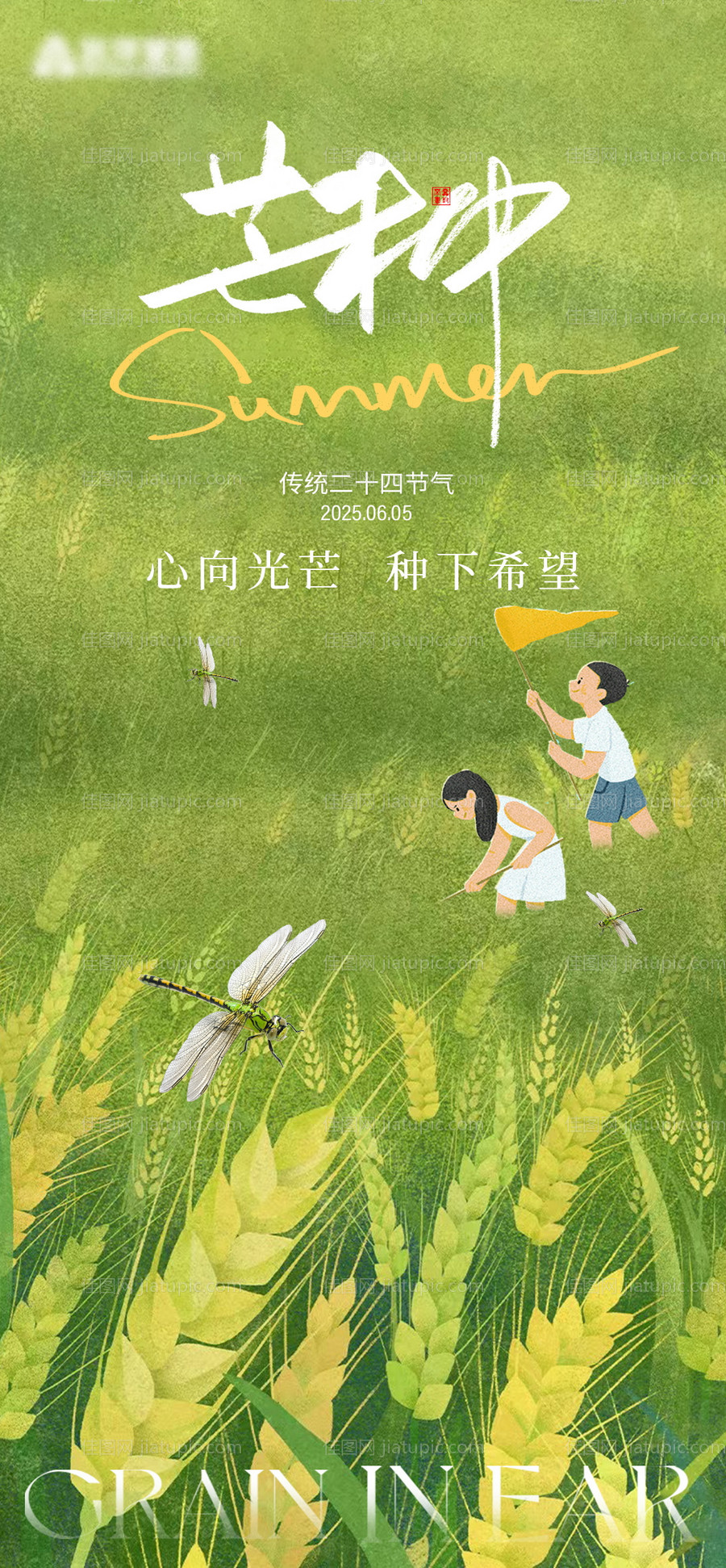 芒种节气海报-源文件