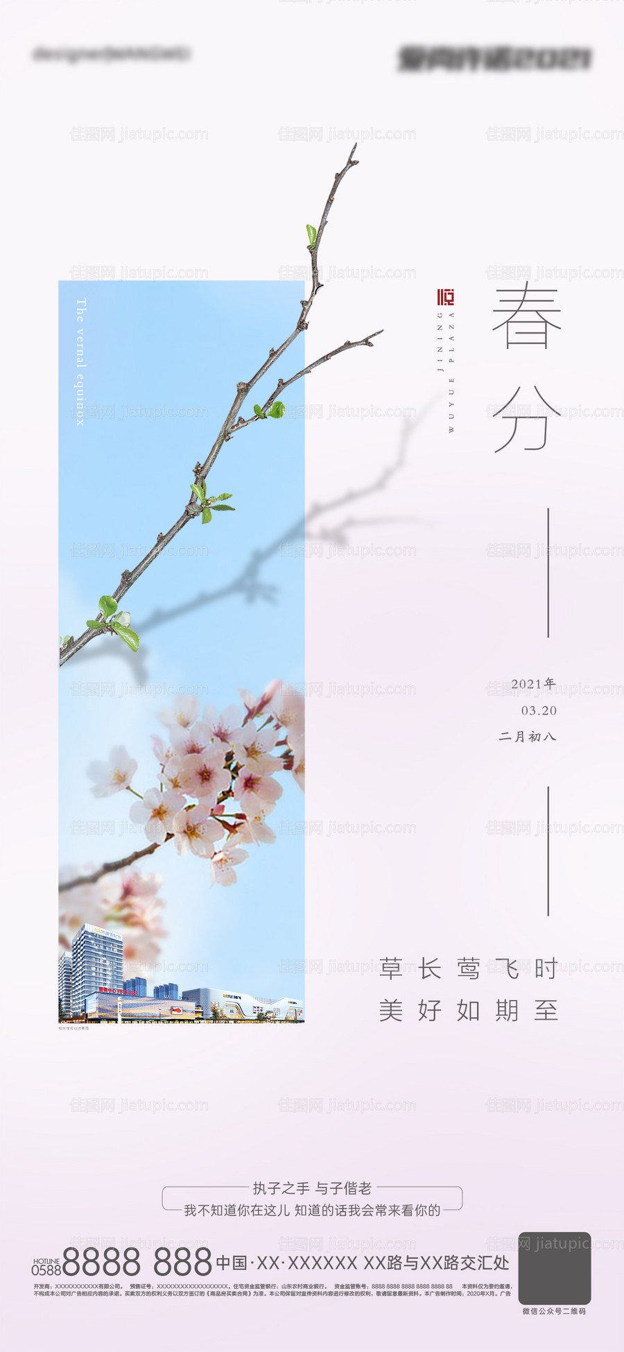 春分节气海报-源文件