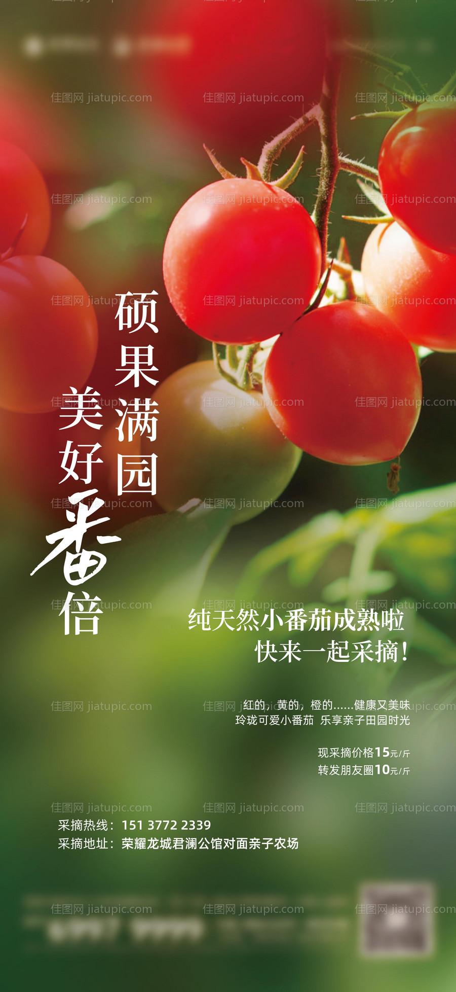房地产摘番茄海报-源文件